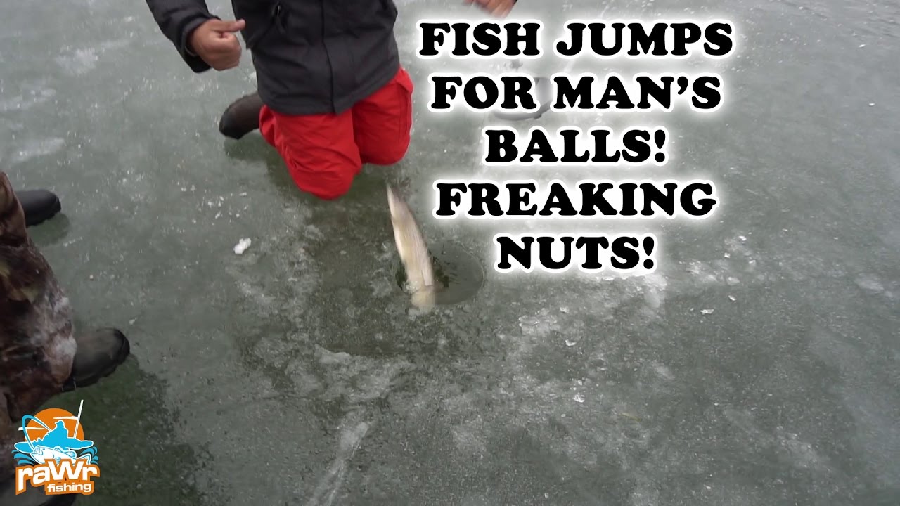Fish Jumps out of Ice and Hit man in the Nuts! YouTube