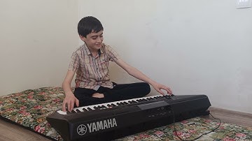 Yamaha psr e 463. Despasito. Groove creator.