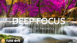 Fall Dawn - Relaxing Guitar Music | Stream Sounds Music For Meditation, Stress Relief, Healing