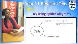 Tip 2   Spider Diagrams
