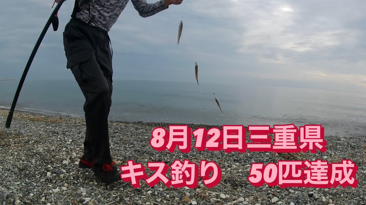 キス釣り50匹達成😁