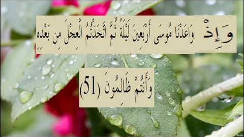 القران الكريم سورة البقرة الاية 51