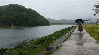 우중의 여인 오기택-박시춘 명곡선/스타365