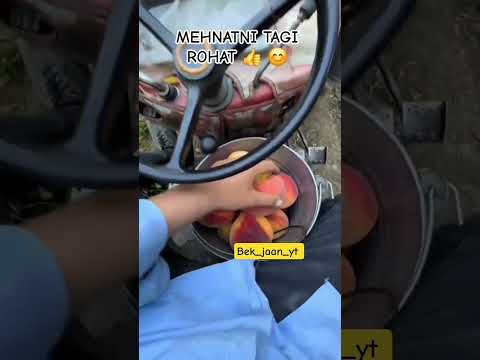 OBUNA BOʻLAMIZ #funny #rek #brabusg63 #mersedessclass #g63brabus #mersedes_benz #mersedess63amg