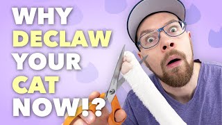 Why you should declaw your cat.