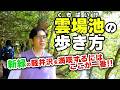 【軽井沢を100倍楽しもう！】雲場池ってこうやって歩くんだ！地元民が教える軽井沢の歩き方。
