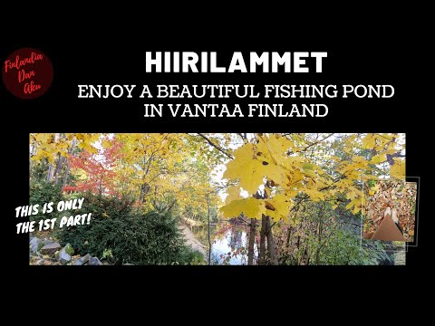 Video: Fiskekage Fra Finland