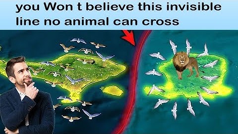 The Invisible Line No Animal, Bird or Fish Can Cross
