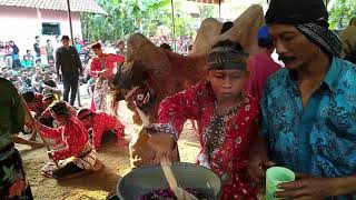 MUTON Kuda Lumping Mulyo Budoyo