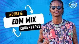 Download Lagu HOUSE AND EDM MIX BY CHUNKY LOVE MP3