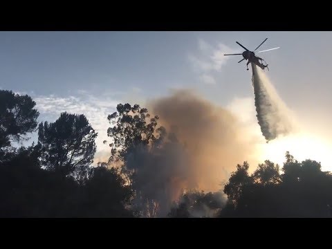 NEWS UPDATE STATEWIDE