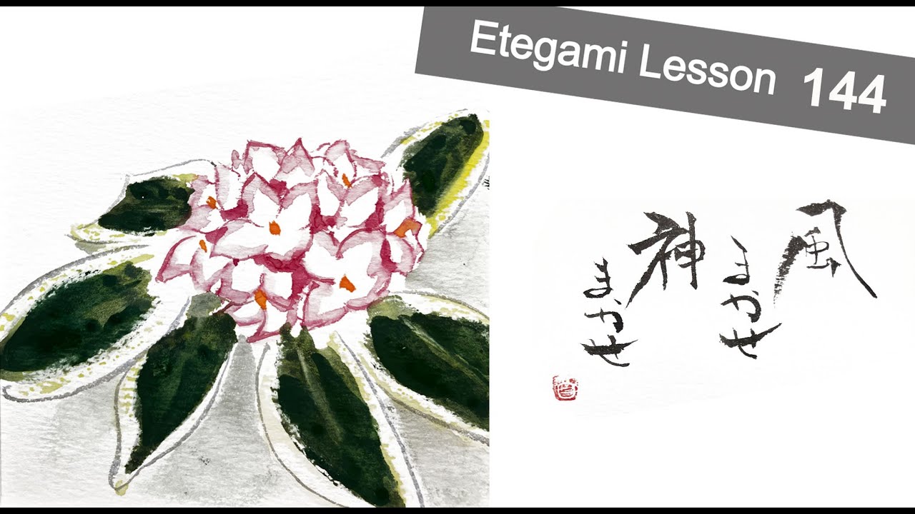 Lesson144 _沈丁花(Winter Daphne) - YouTube