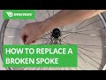 How to Replace a Broken Spoke