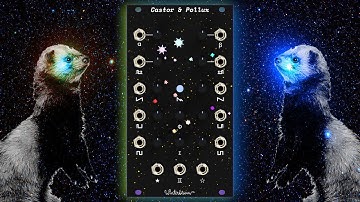 Winterbloom Castor and Pollux, a Juno-Inspired Friend