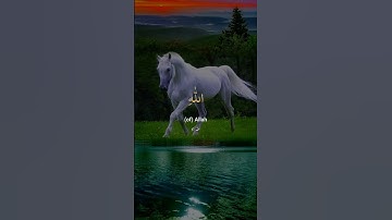 قرآن كريم #قرآن #اكسبلور #قران_كريم #راحة_نفسية #سورة