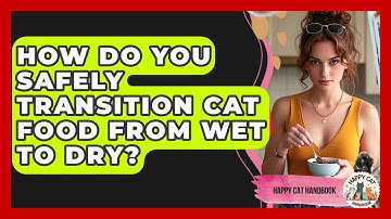 How Do You Safely Transition Cat Food From Wet To Dry? - Happy Cat Handbook