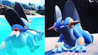 Gamefreak Made Synchro Swampert Kinda...