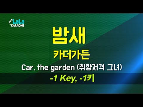 카더가든(Car, the garden) - 밤새 (취향저격 그녀 X 카더가든) (-1키) 노래방 Karaoke LaLa Kpop