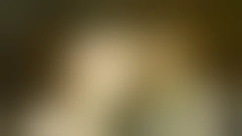 MOONRIVER trumpet SAURO BARGELLINI