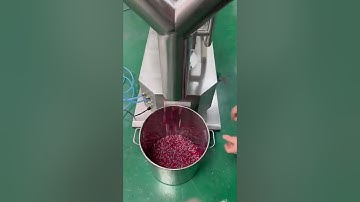 Automatic capsule polishing ans sorting machine polisher and sorter