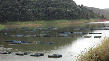 O que tem de bom em Paraibuna?