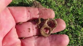 Famous Detecting Talk of the Day 31 Mar 2026 - Includes Gold Ring Crusade Using 9" FMF Coil Net Worth