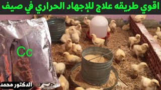 علاج الاجهاد الحراري وعدم موت الفراخ بسبب الحر في الصيف مع دكتور