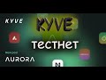 тестнет KYVE  Testnet  с Топовыми инвесторами