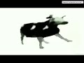 Smesna Kravaрџ Јрџ Ј Smesna Kravaрџ Јрџ Ј