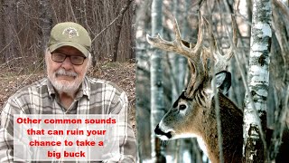Why you didn't see that big buck last fall — Part 5.5 Sounds (Deerhunting) by Ken Nordberg 1,379 views 2 years ago 57 minutes