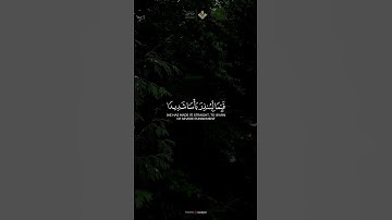 ( الحمد لله الذي أنـزل على عبده الكتاب ) || من سورة الكهف | #المنشاوي