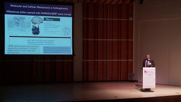 Dr. Schahram Akbarian - Schizophrenia and the Brain