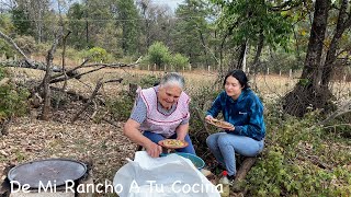 Alambre De Nopalitos En El Campo De Mi Rancho A Tu Cocina