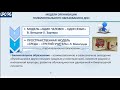 Модель организации полилингвального образования в ДОО