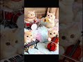 We are the adorable Kitty Choir! 私たちはかわいいネコちゃん合唱団です#しゃべる猫#cutecat #かわいいニャンコたち#子ネコ#kitten #catshorts