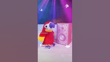 SPEAKER JBL BASS DJ SONG SOUND SYSTEM BASS MUSIC #foryou #speaker
