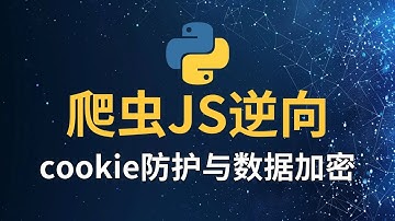 【爬虫JS逆向】大厂反爬攻防实战-cookie防护与数据加密
