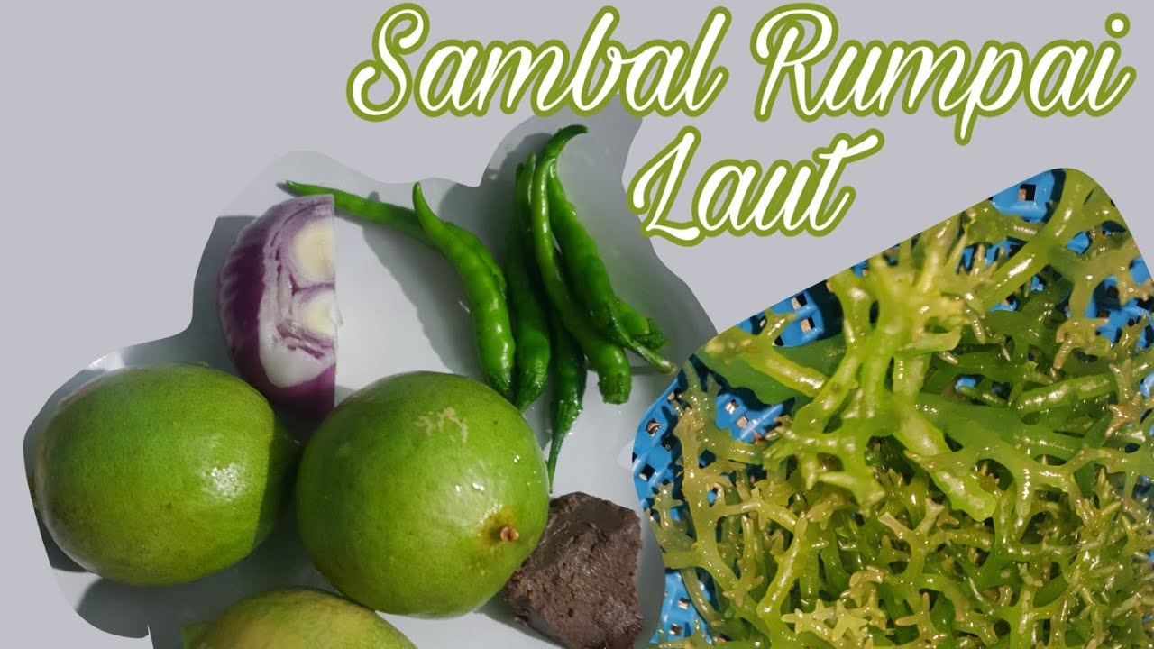 Resepi Sambal Rumpai Laut. - YouTube