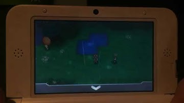Interesting glitch in Pokémon Omega Ruby & Alpha Sapphire