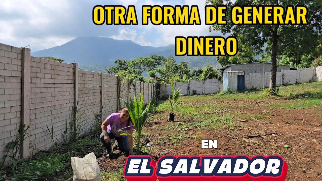 EMPRENDIMIENTO en EL SALVADOR. De esta forma GANO dinero en mí país, después de VIVIR en USA.