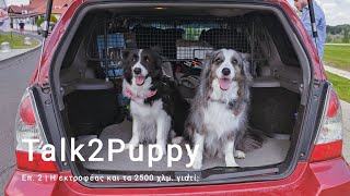 Our Breeder and a 2500 km trip. Why? | Talk2Puppy Ep. 2 by Woofland 2,561 views 2 years ago 9 minutes, 23 seconds