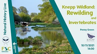 Knepp Wildland: Rewilding and Invertebrates - Penny Green