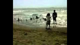 Tekad Pati Rohid Falak