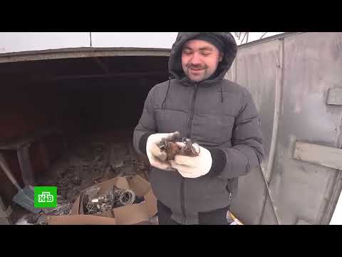 «КОНТЕНТ С ОГОНЬКОМ»