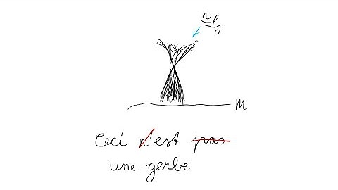 Principal Bundles Form a Gerbe