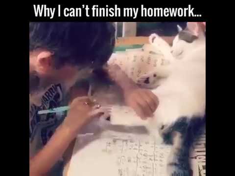he didn't finish his homework yet