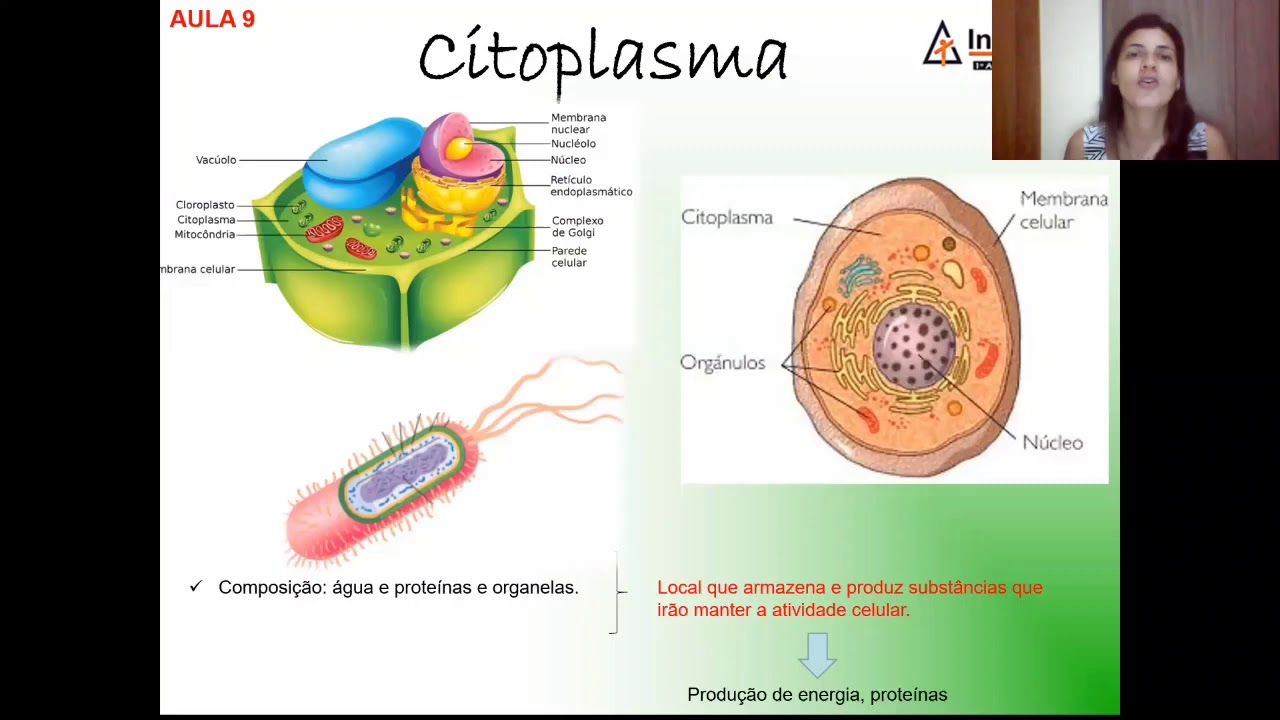Biologia Citoplasma 1ª Série Ensino Médio Youtube