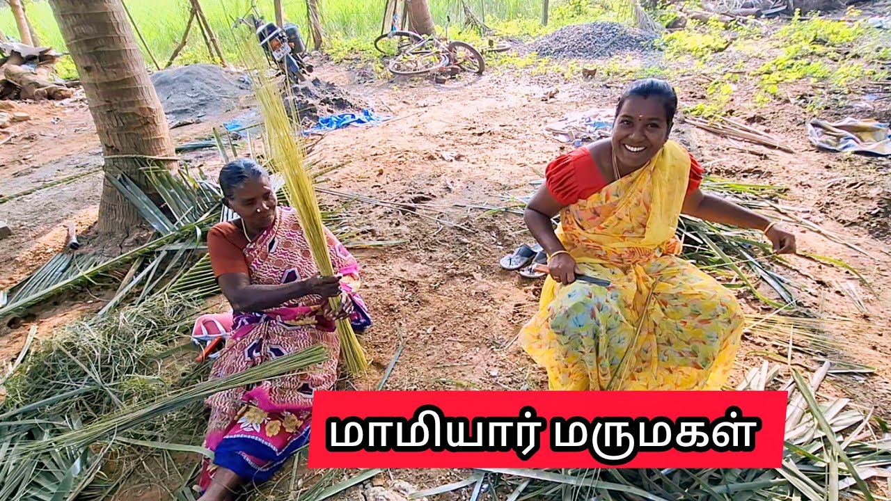 பெரிய வீட்டுக்கு போய் ரொம்ப நாள் ஆச்சு  | My Village life 