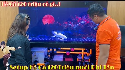 Hành trình đi mua Hồ Cá Công Nghệ 120Củ của Thái Salem vê lốc