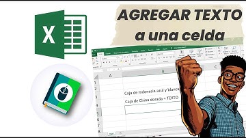 ¿ Cómo agregar texto a una celda de Excel que ya tiene texto ?